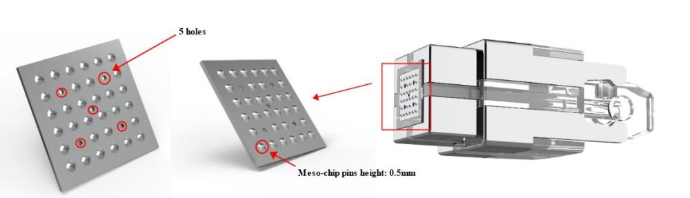 Meso chip