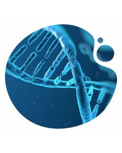 DNA Shot #19| 48ml | MySkinMatch DNA Shot #19| 48ml | MySkinMatch